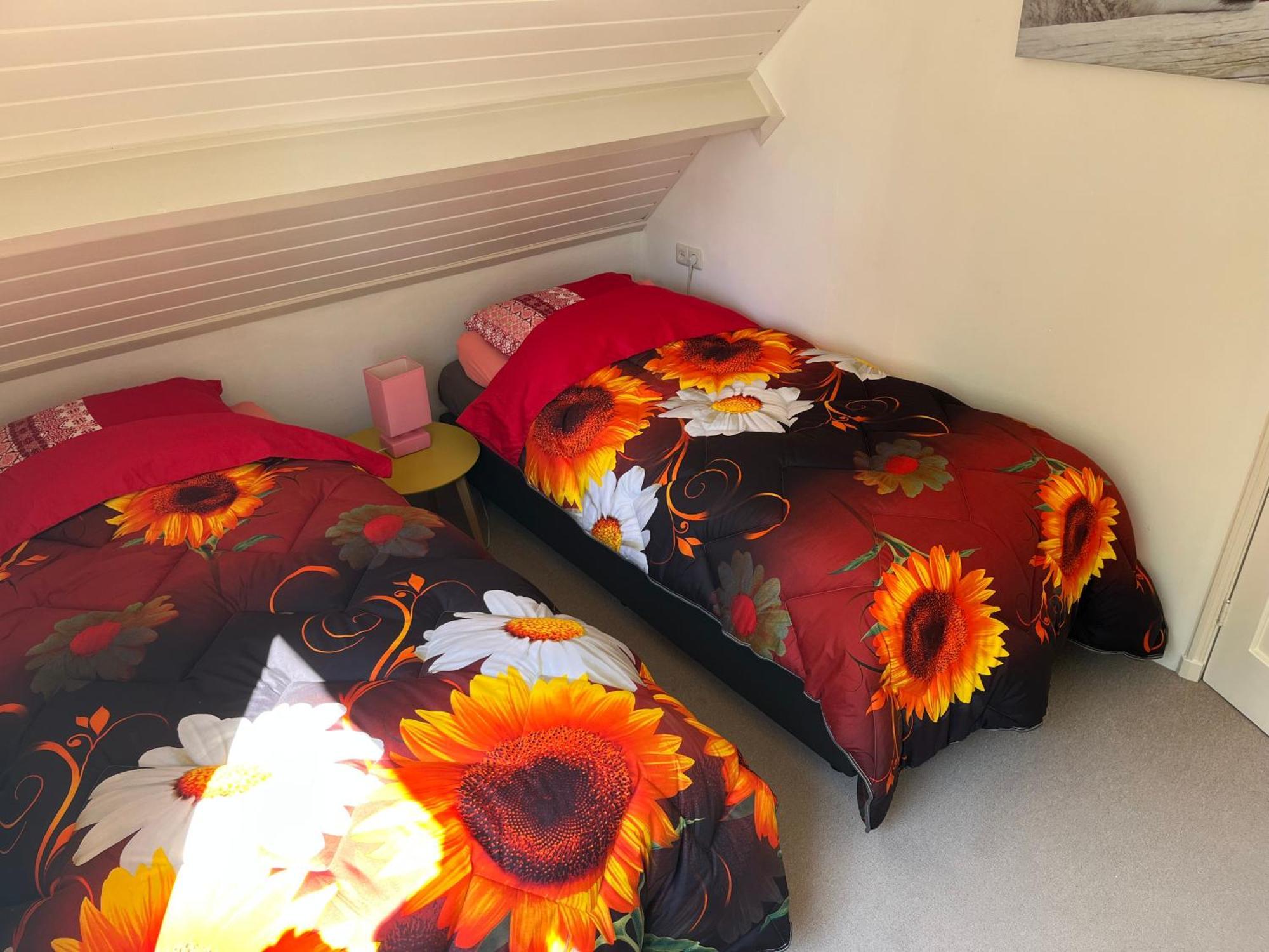 B&B Dol - Fijn Benningbroek エクステリア 写真