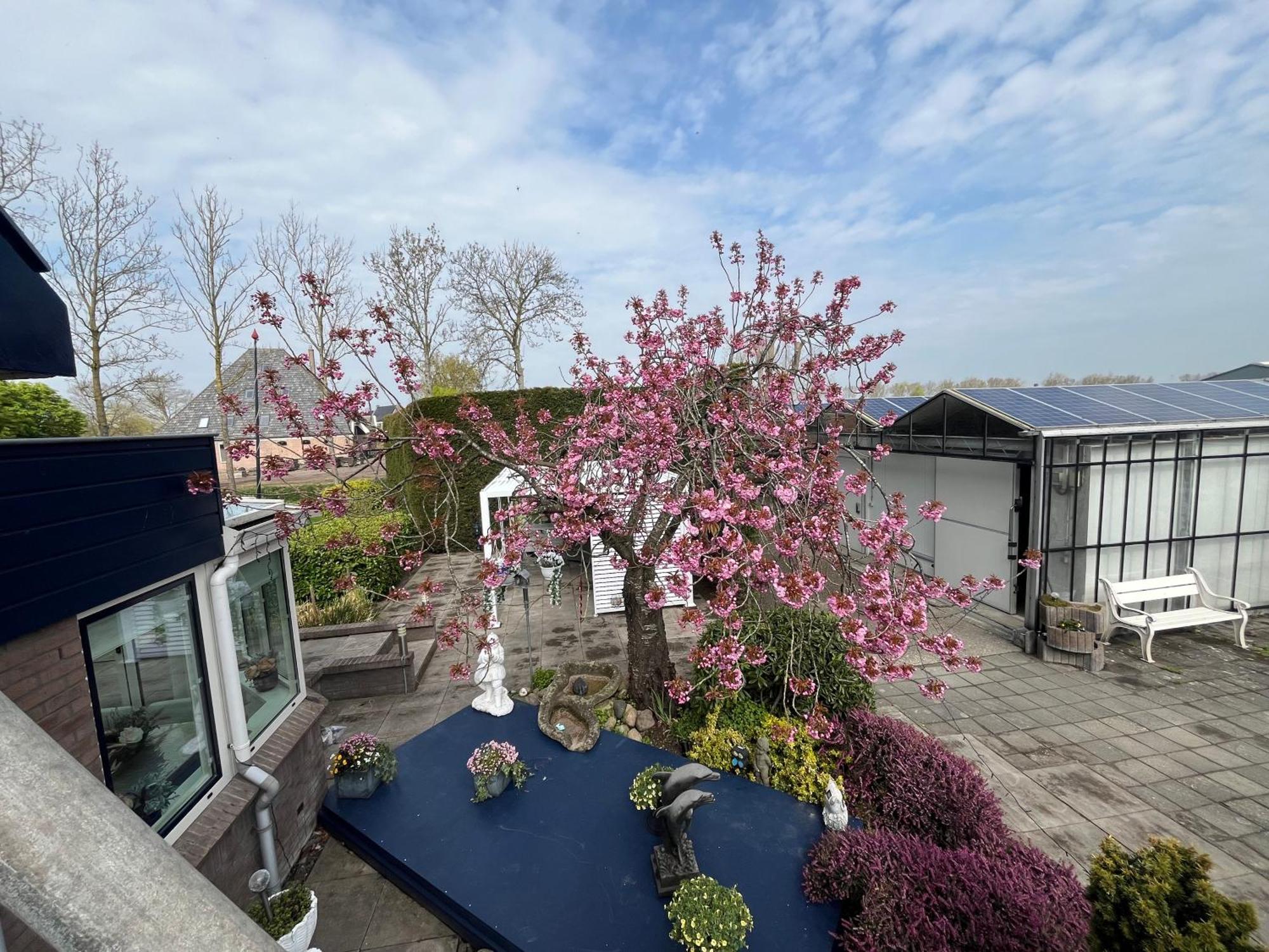 B&B Dol - Fijn Benningbroek エクステリア 写真
