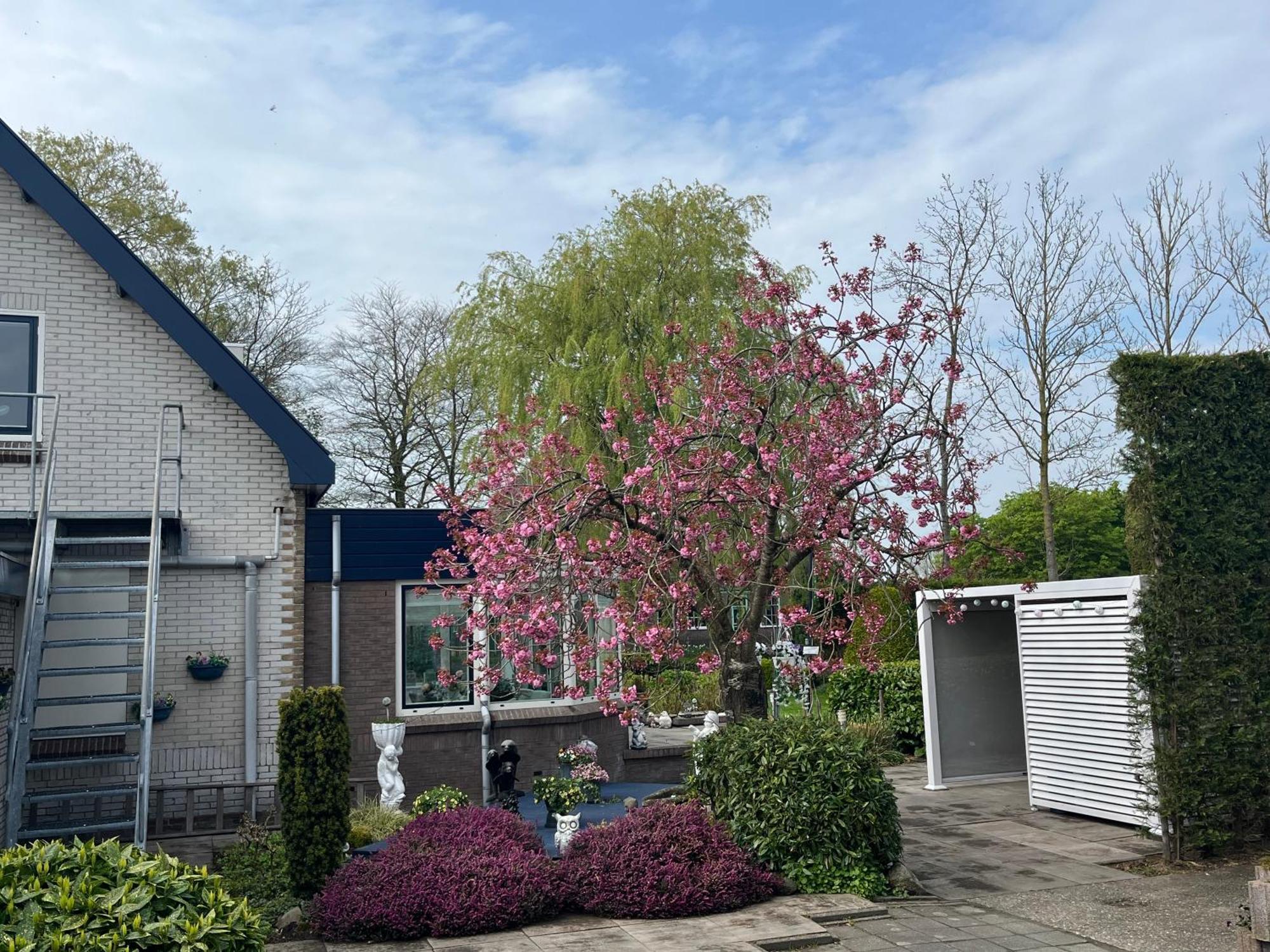 B&B Dol - Fijn Benningbroek エクステリア 写真